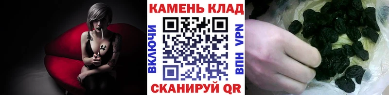 blacksprut ТОР  Петровск-Забайкальский  мориарти клад  ГАШИШ Ice-O-Lator 