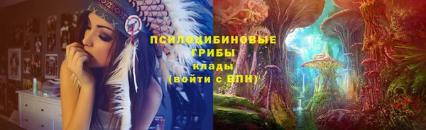 сатива Болотное