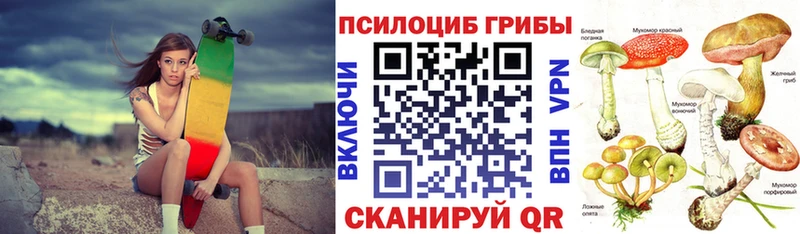 продажа наркотиков  Петровск-Забайкальский  Галлюциногенные грибы ЛСД 